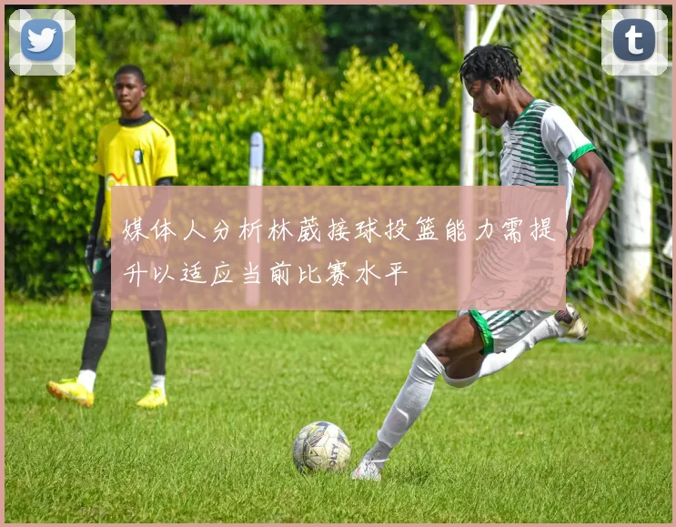 媒体人分析林葳接球投篮能力需提升以适应当前比赛水平